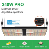 Grow Bright 240w Pro
