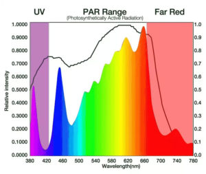 LED Grow Light Spectrum