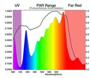 LED Grow Light Spectrum