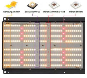 LED Grow Light