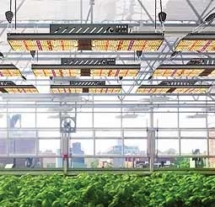 Grow Bright LED Array