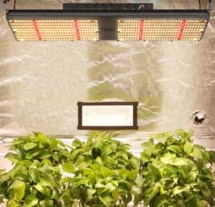Grow Bright LED 240w